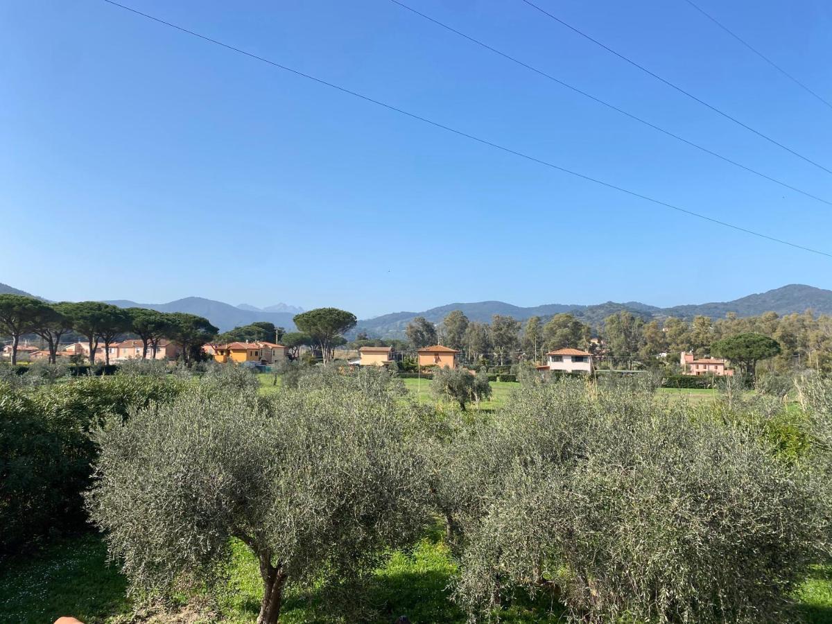 Residence Terme Isola D'Elba Srl Portoferraio Luaran gambar