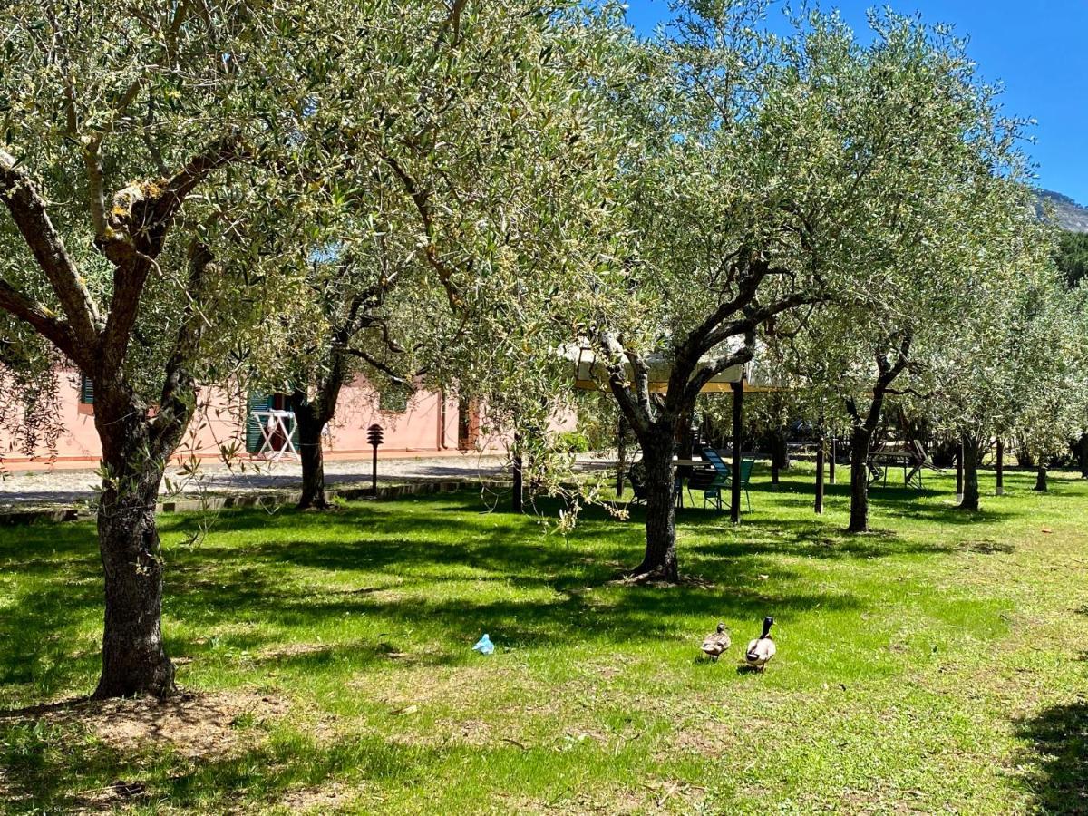 Residence Terme Isola D'Elba Srl Portoferraio Luaran gambar